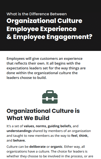 Org culture, ee, ex infographic