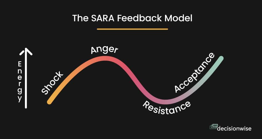The SARA Feedback Model
