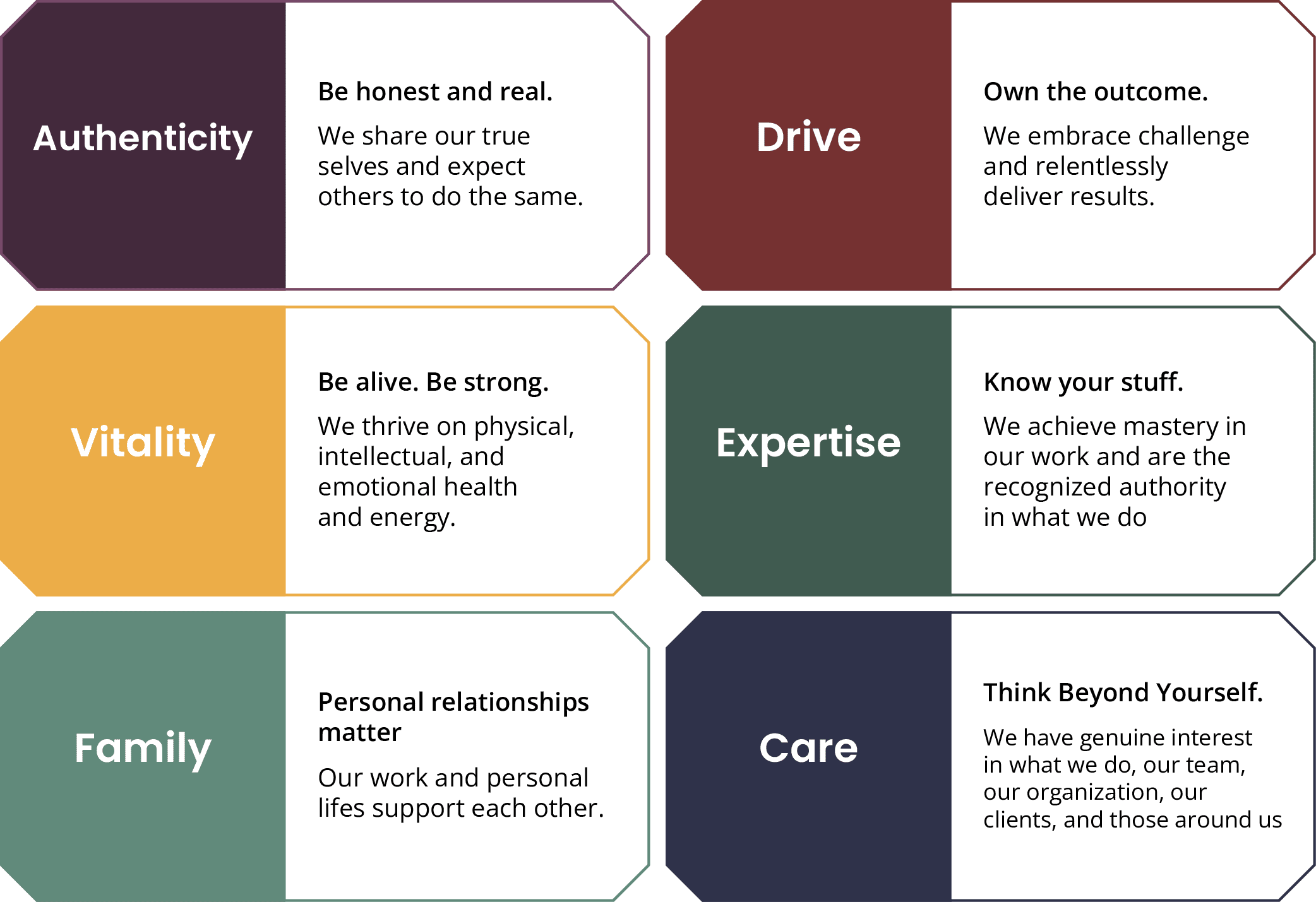 chart of our core values: authenticity, drive, vitality, expertise, family, and care
